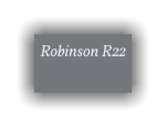 Robinson R22